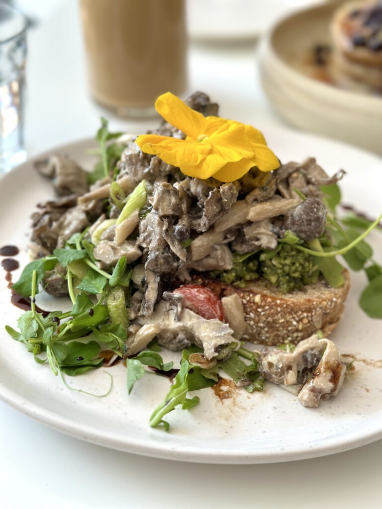 mushroom toast from archway. a slice of bread with arugula, and saucy mushrooms on top with a flower for garnish. 