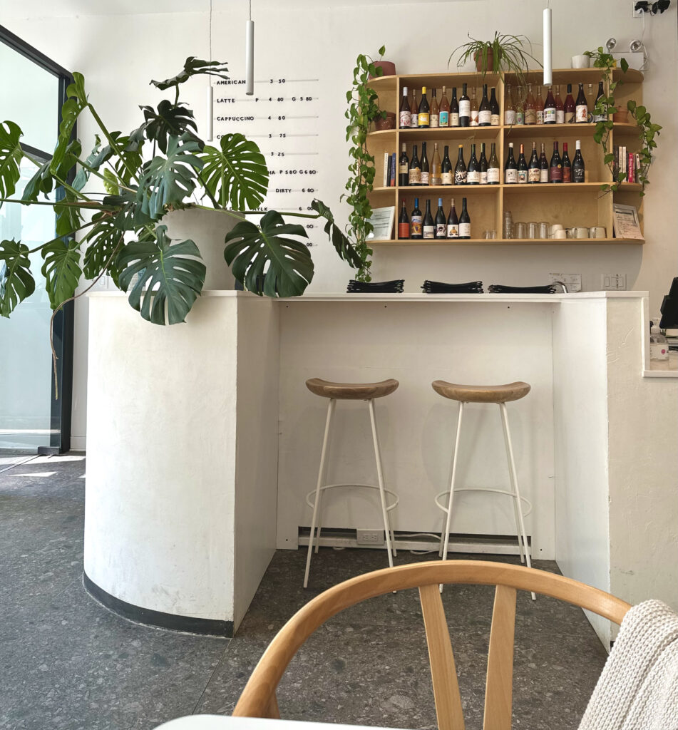 Archway aesthetic. White bar top with a letterboard drink menu, large monstera plant and bottle displayed on a wall