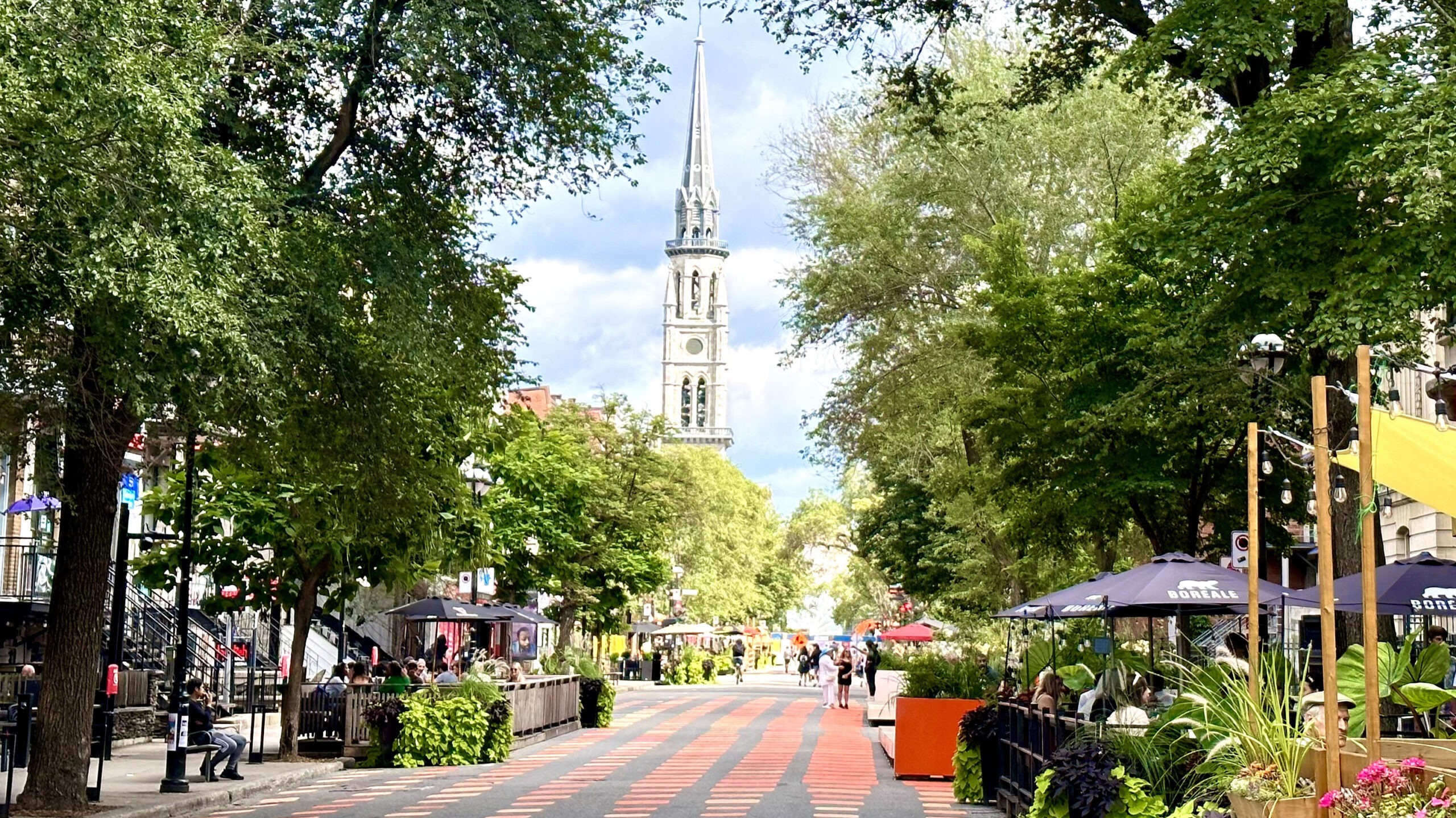 landscape photo of Montreal street with church architecture in the background