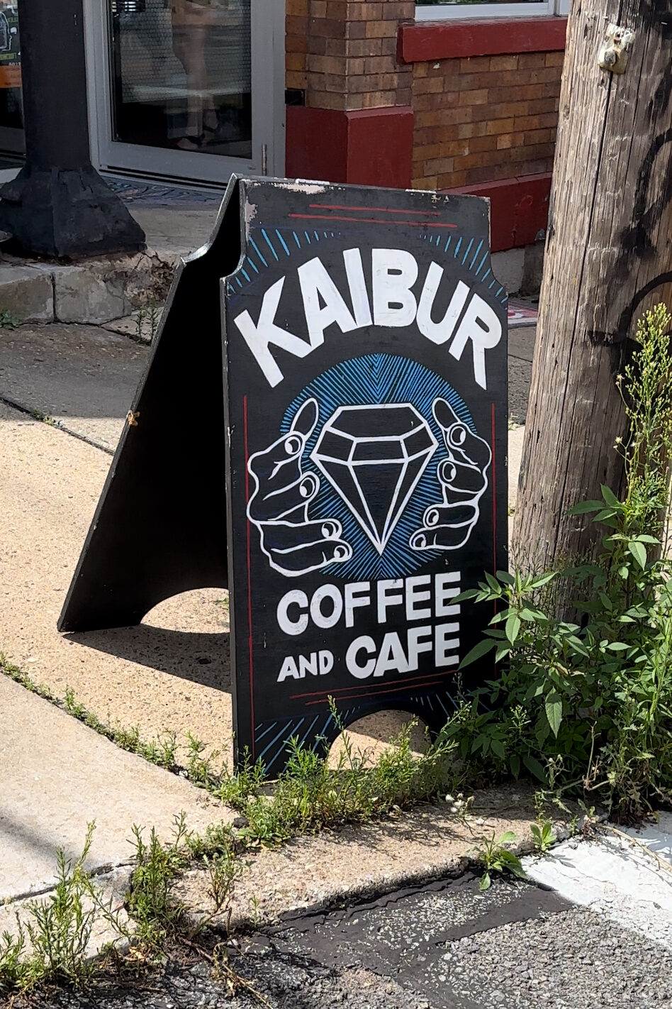 Vegan Food Options Pittsburgh: Kaibur Cafe